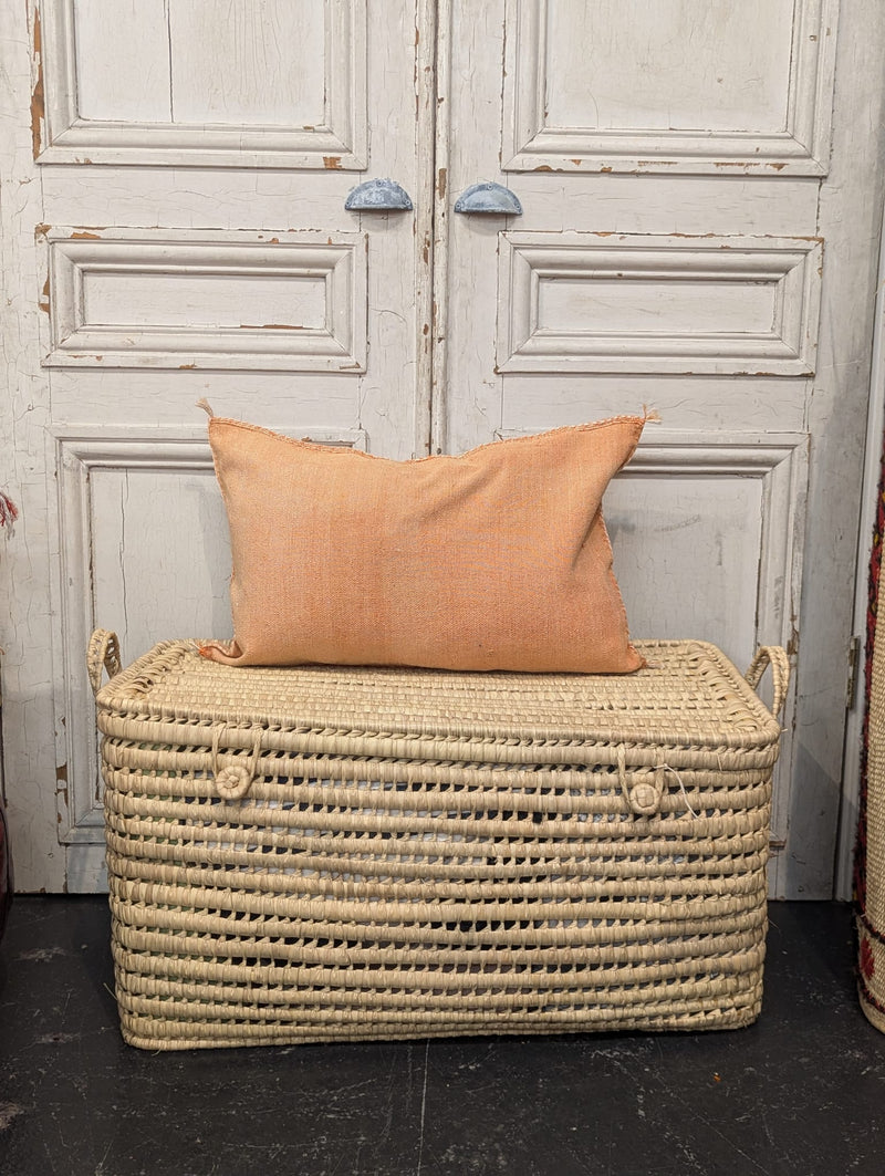 Moroccan Cactus Silk Cushion CUCS008