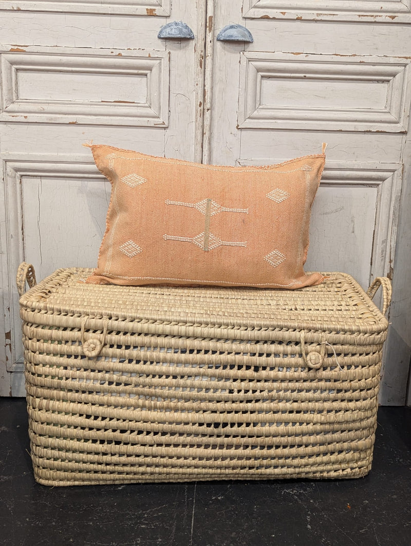 Moroccan Cactus Silk Cushion CUCS008