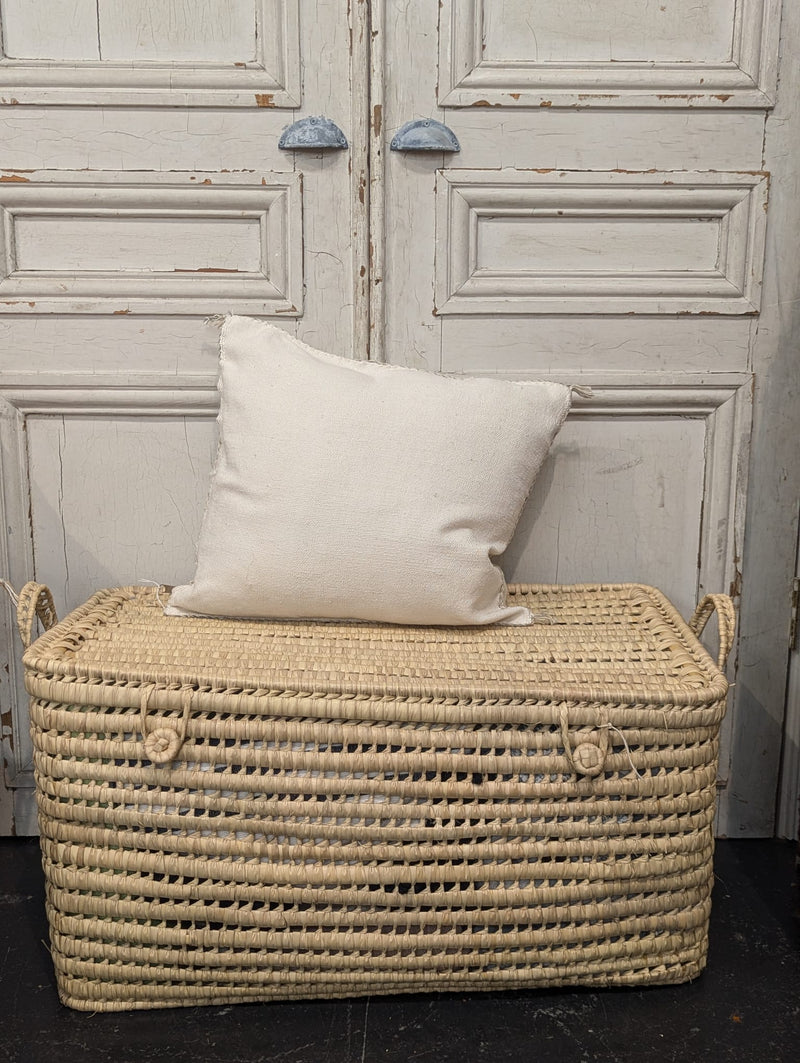 Moroccan Cactus Silk Cushion CUCS012