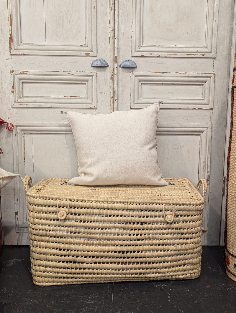 Moroccan Cactus Silk Cushion CUCS013