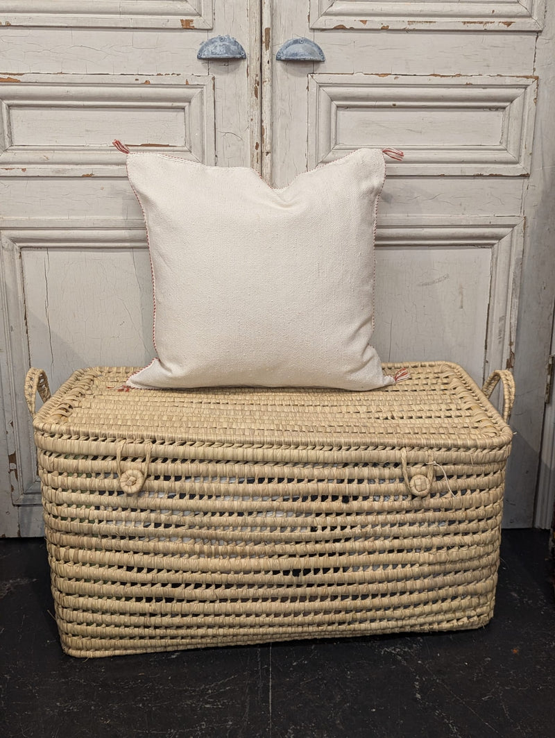 Moroccan Cactus Silk Cushion CUCS016