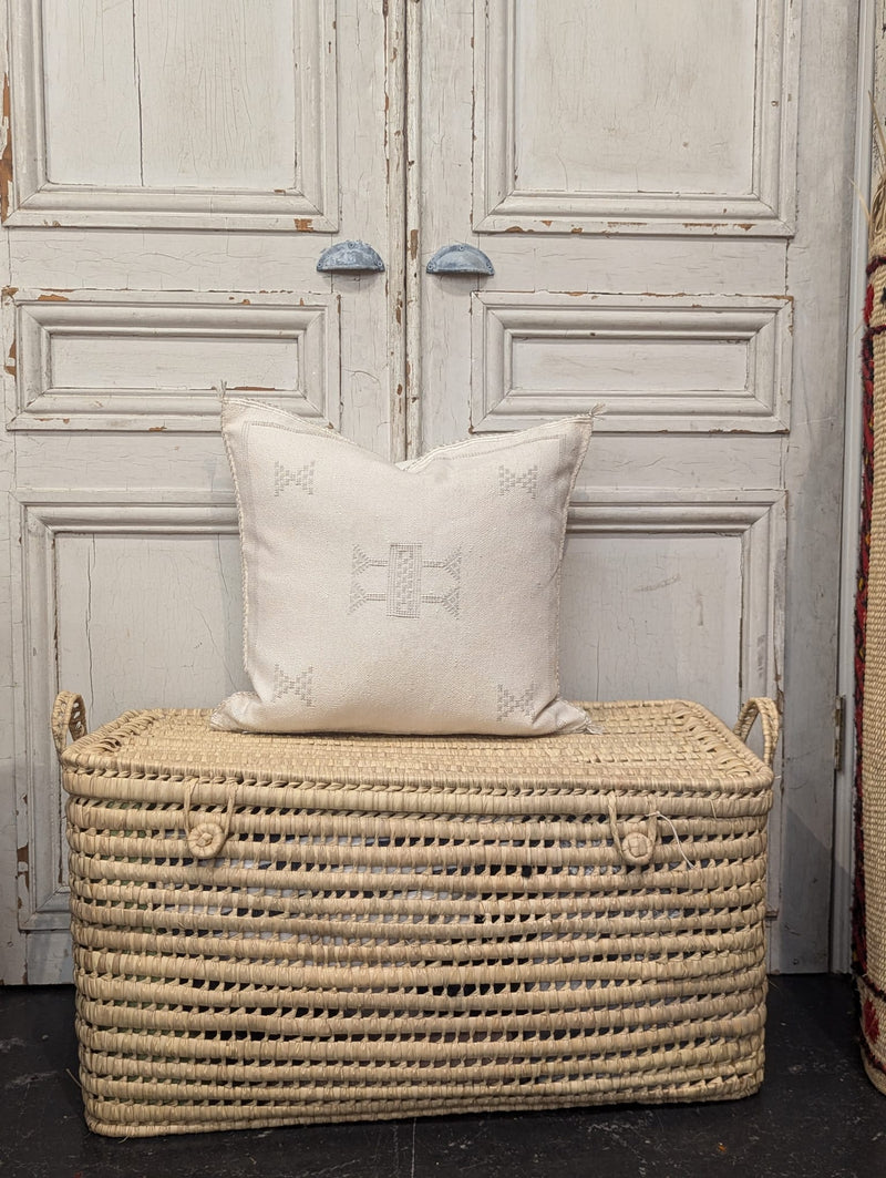 Moroccan Cactus Silk Cushion CUCS010