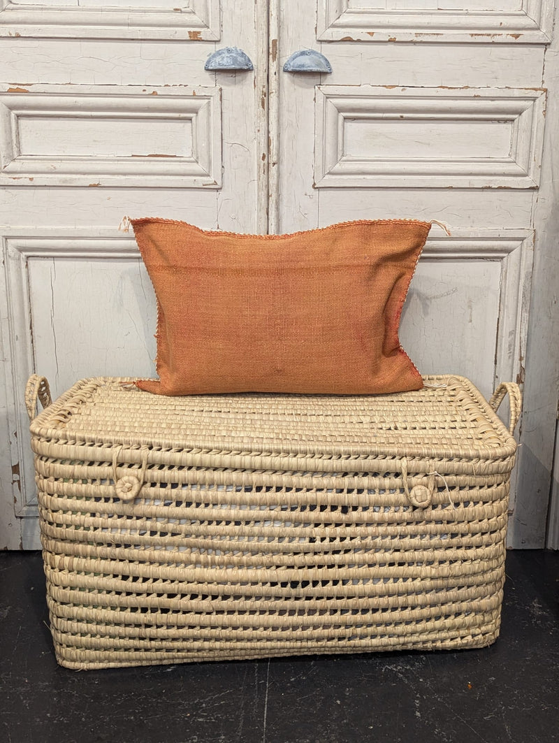 Moroccan Cactus Silk Cushion CUCS004