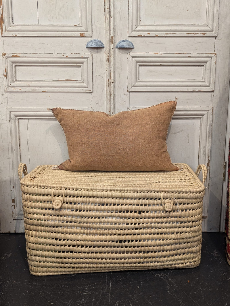 Moroccan Cactus Silk Cushion CUCS002