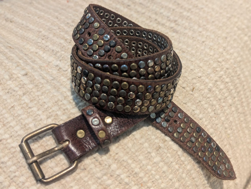 Dark Brown 5 Stud Belt CLBT017