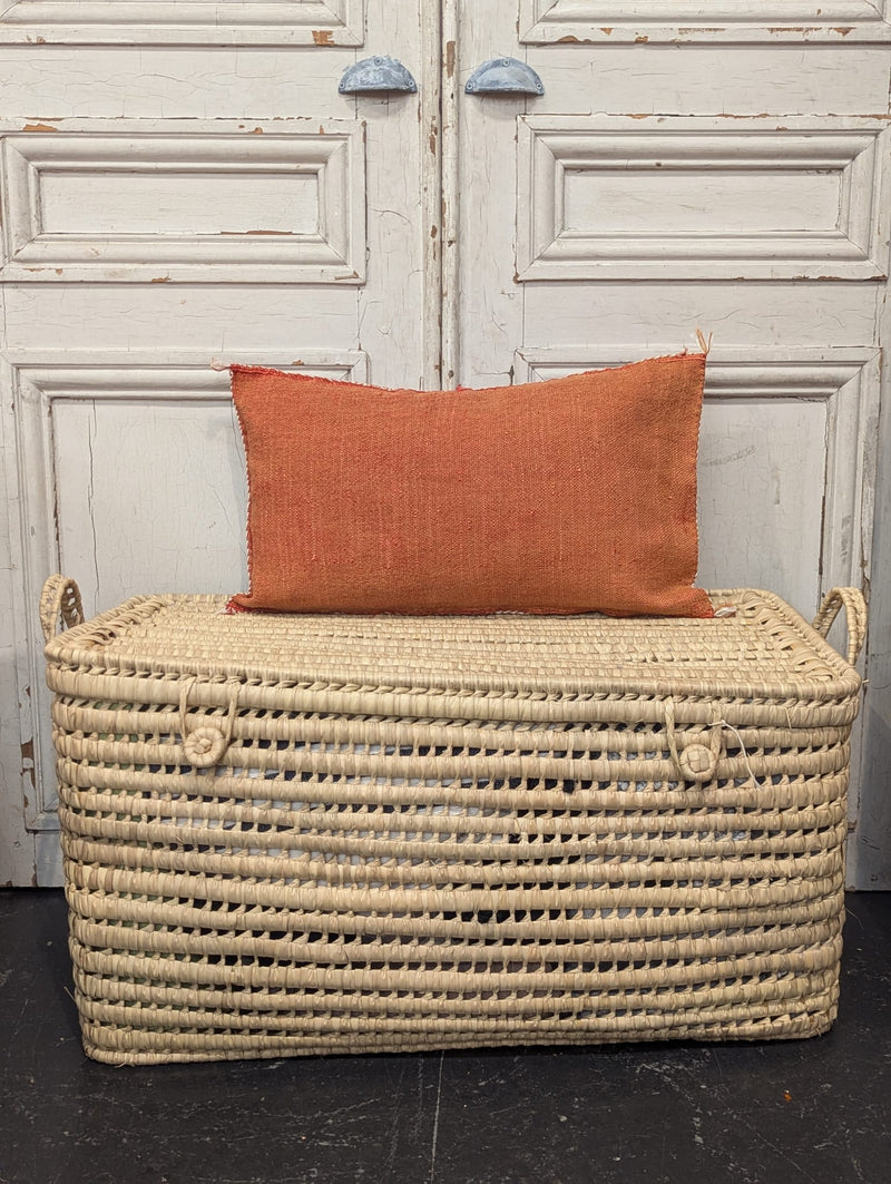 Moroccan Cactus Silk Cushion CUCS003