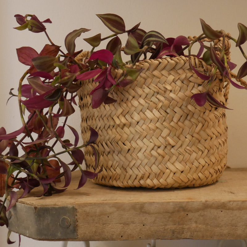 Sea Grass Hanging Basket Medium - HW-BK-002