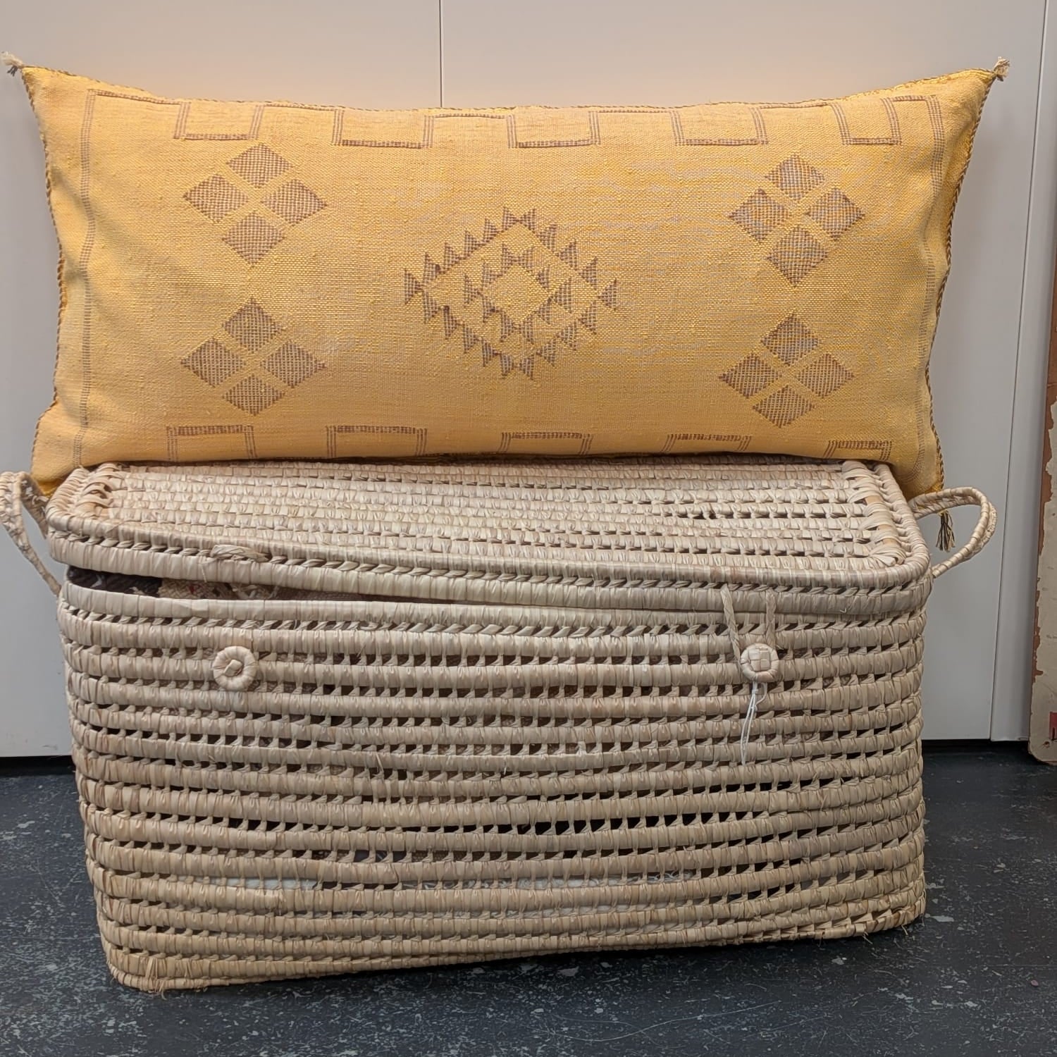 Moroccan Cactus Silk Cushion CUCS100