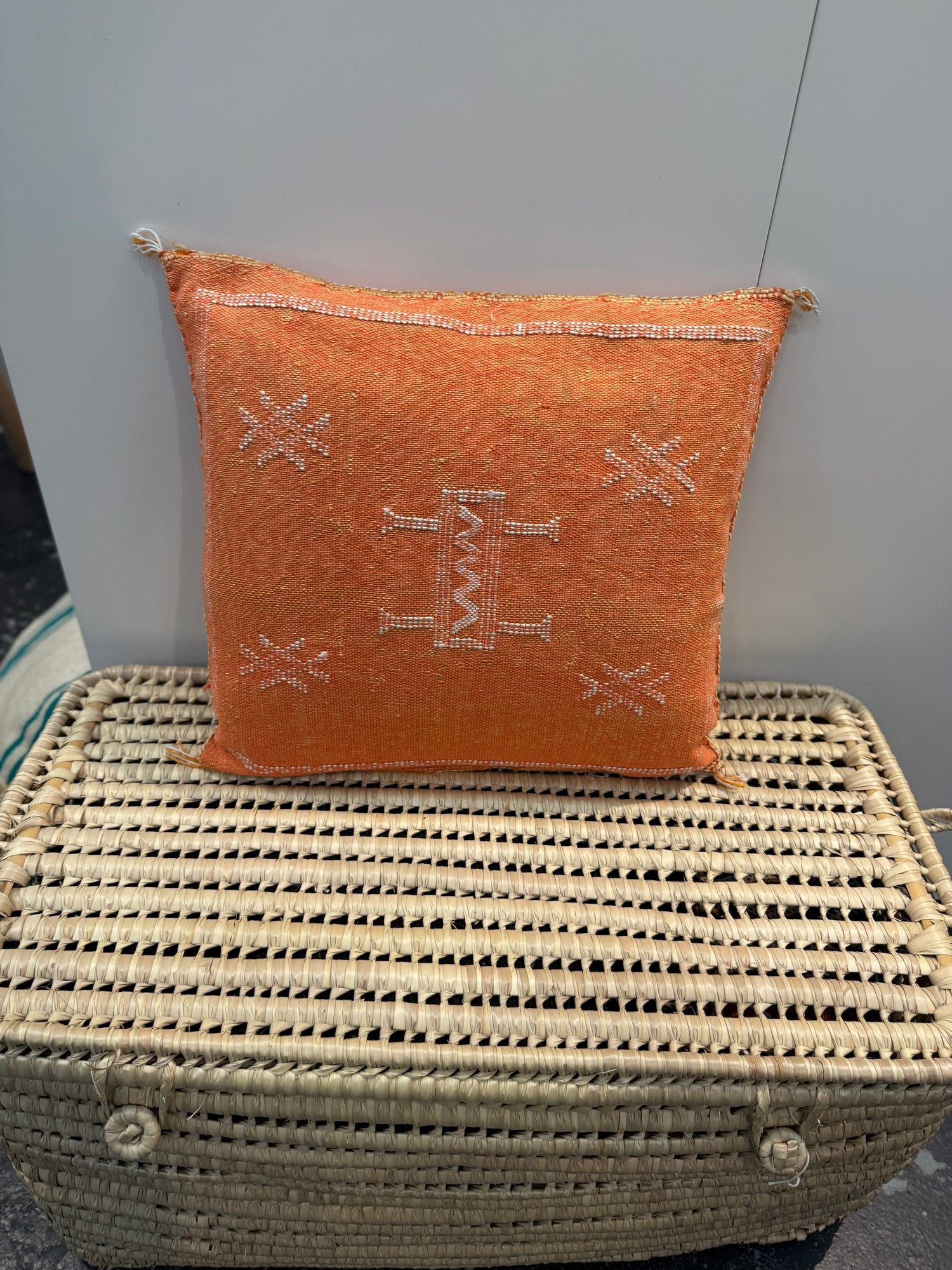 Moroccan Cactus Silk Cushion CUCS095