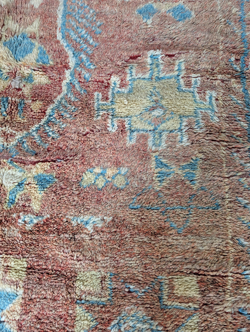 Vine & Dandy' Antique Rug RUBJ003