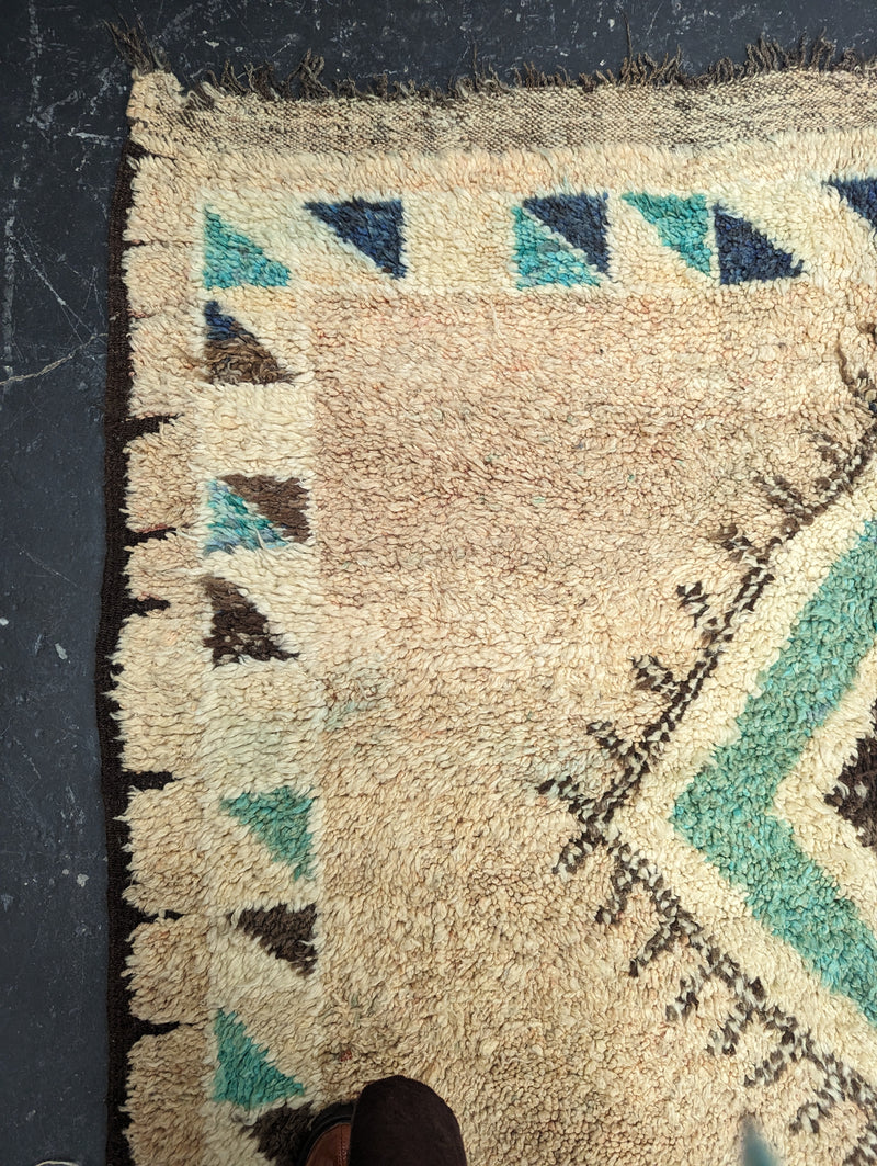 Feel the Fizzle' Antique Rug