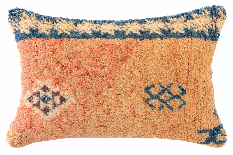 Rug fragment cushion RFC22