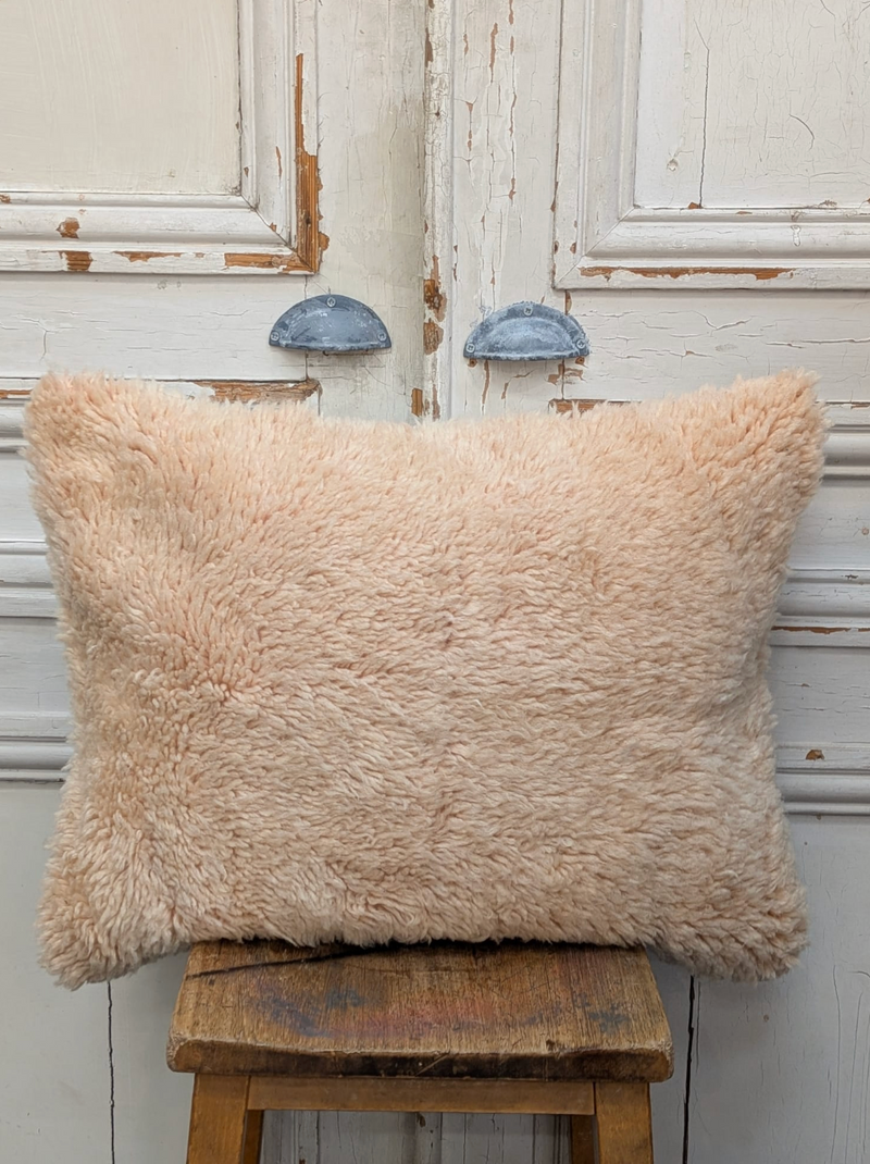 Rug Fragment Cushion CUR065