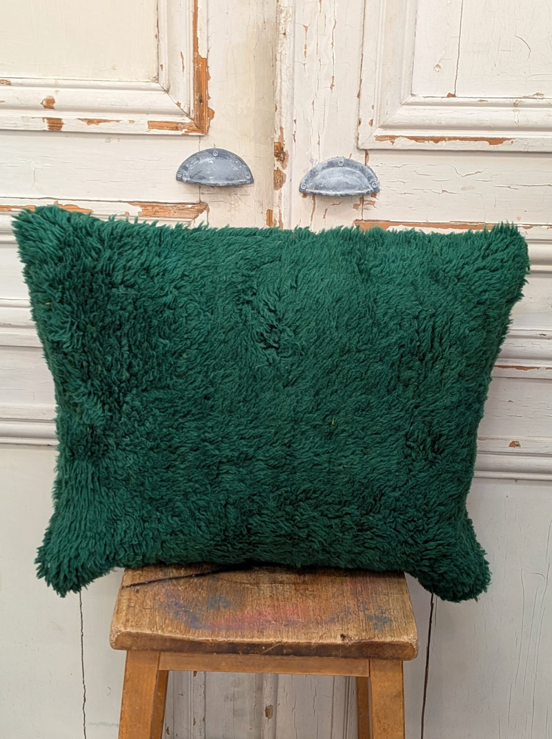 Rug Fragment Cushion CUR067