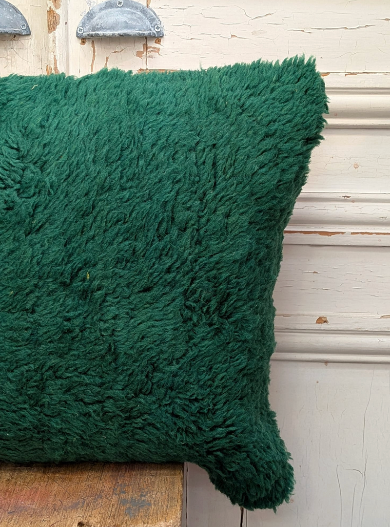 Rug Fragment Cushion CUR067