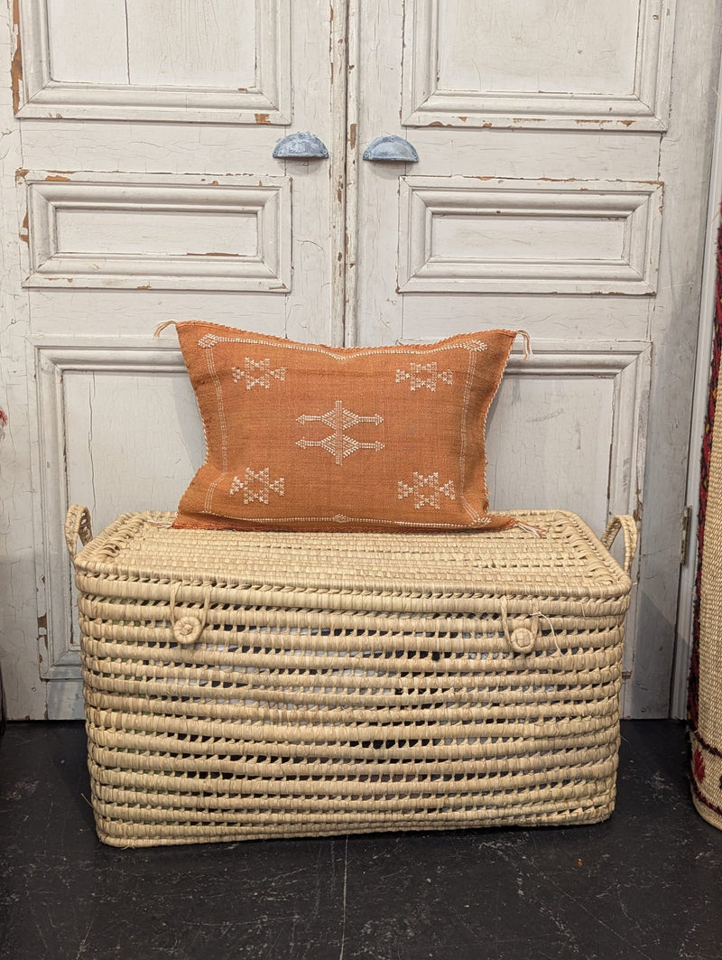 Moroccan Cactus Silk Cushion CUCS004