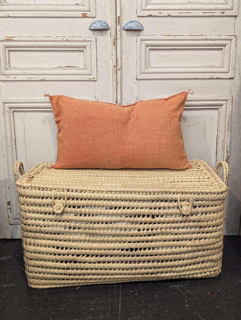 Moroccan Cactus Silk Cushion CUCS006