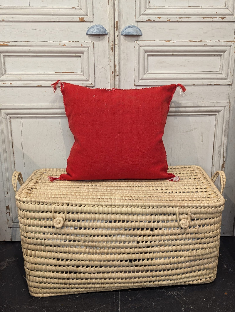 Moroccan Cactus Silk Cushion CUCS015