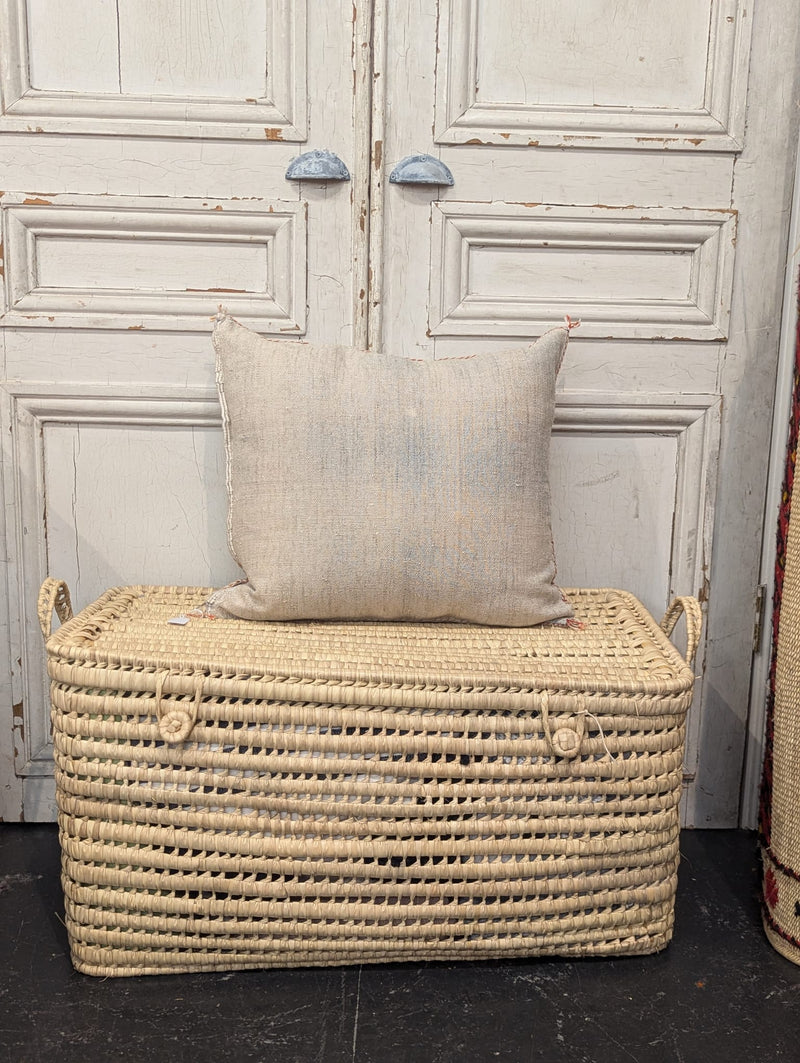 Moroccan Cactus Silk Cushion CUCS018