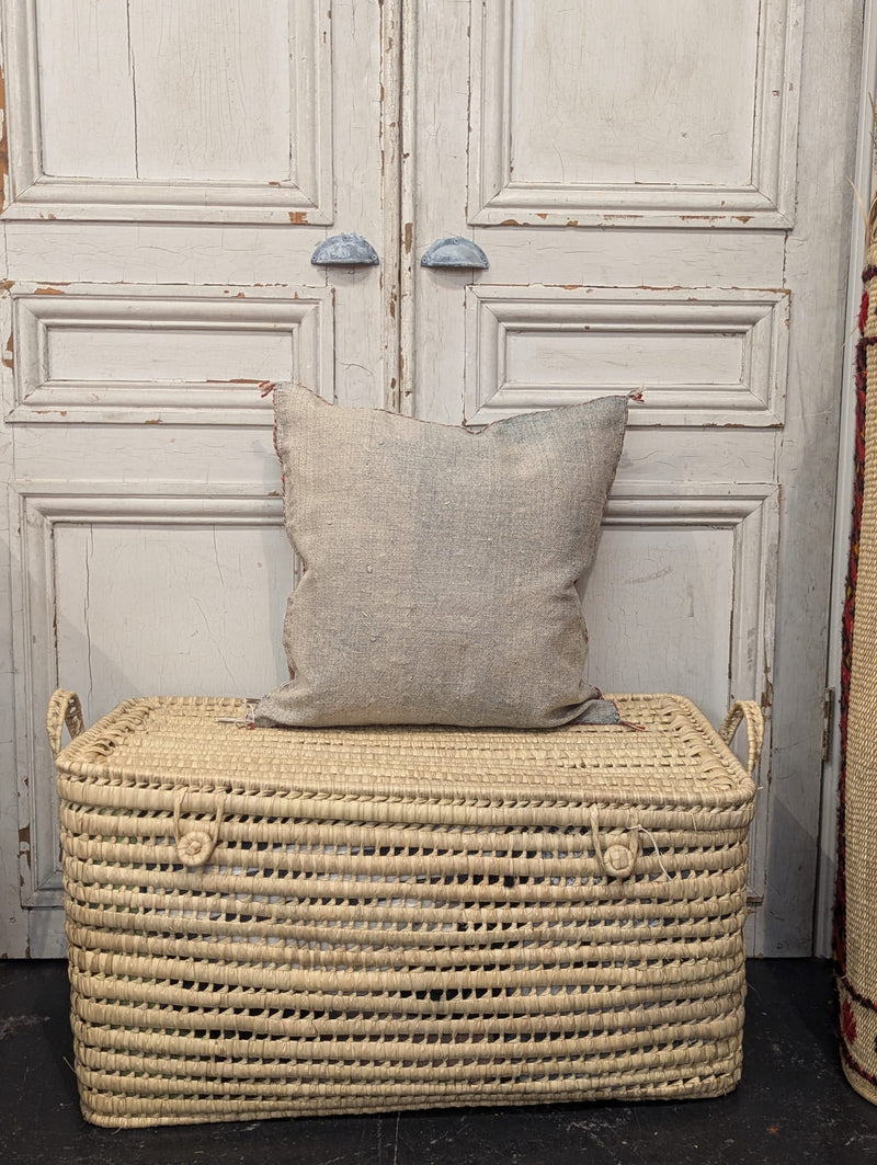 Moroccan Cactus Silk Cushion CUCS017