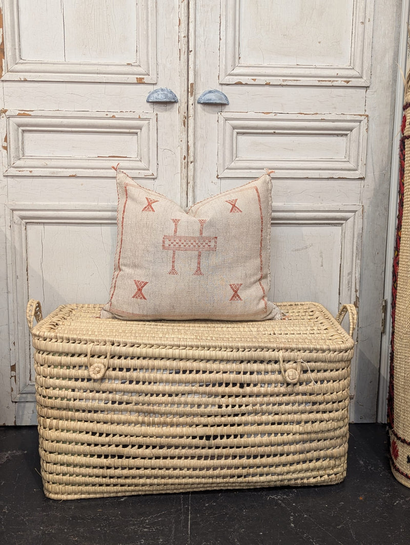 Moroccan Cactus Silk Cushion CUCS018