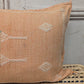 Moroccan Cactus Silk Cushion - CU-CS-008