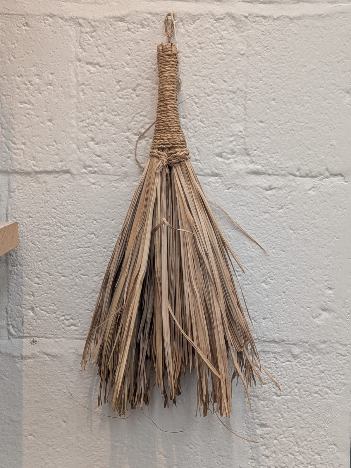 Palm Leaf Brushes