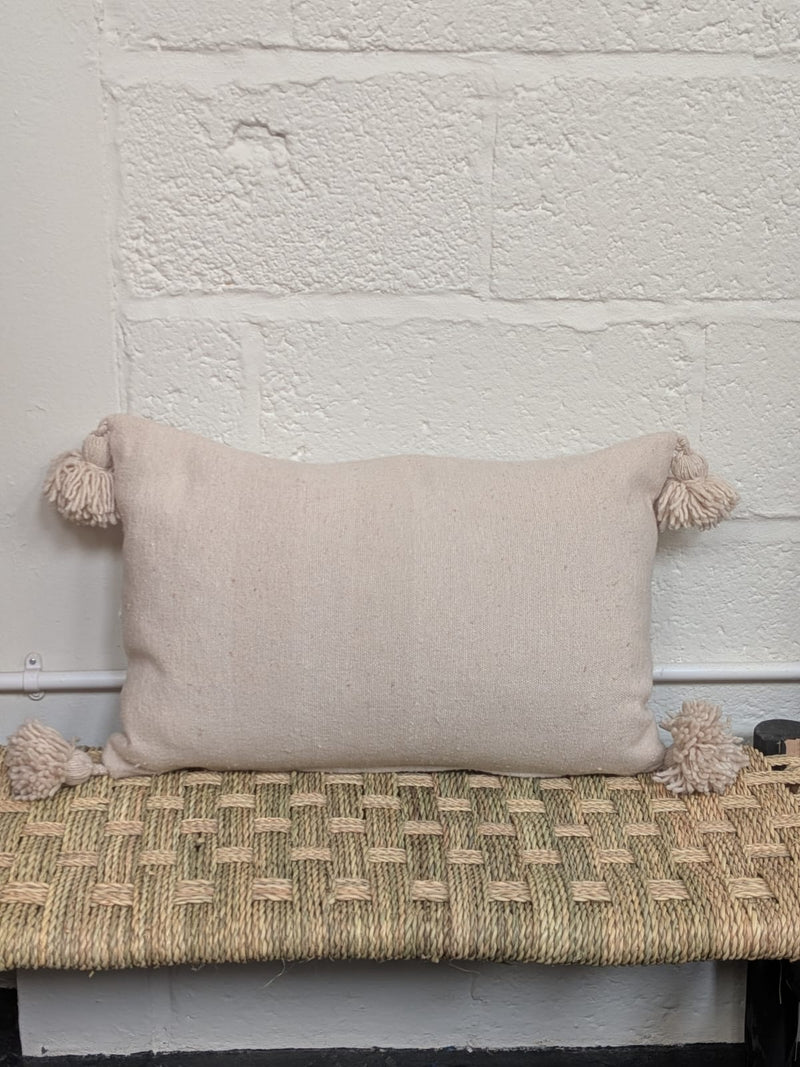 Embroidered Cushion CUE003