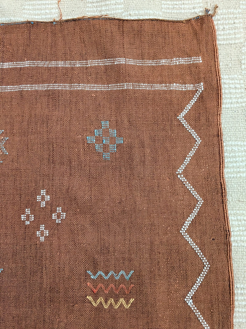 Dark Terracotta Cactus Silk Rug RUCS004