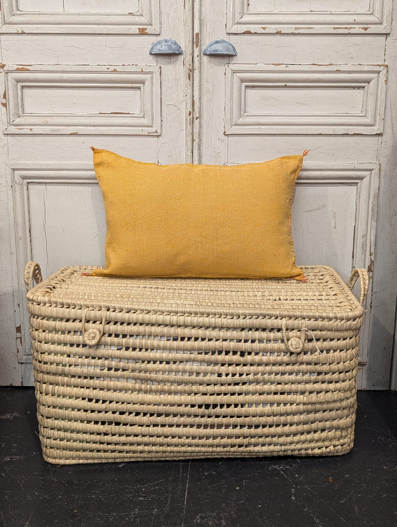 Moroccan Cactus Silk Cushion CUCS005