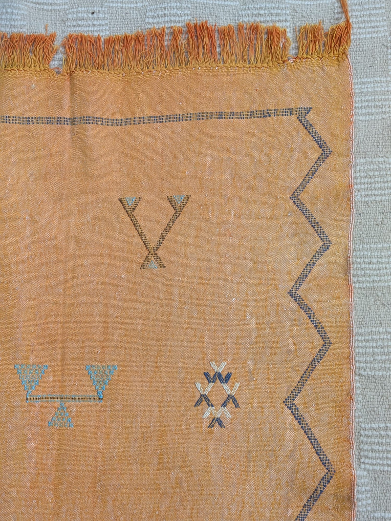 Orange Cactus Silk Rug RUCS007