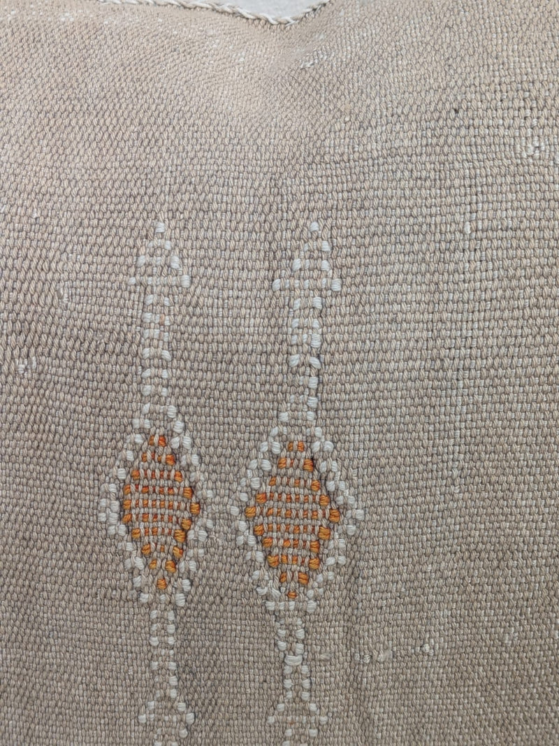 Moroccan Cactus Silk Cushion CUCS062