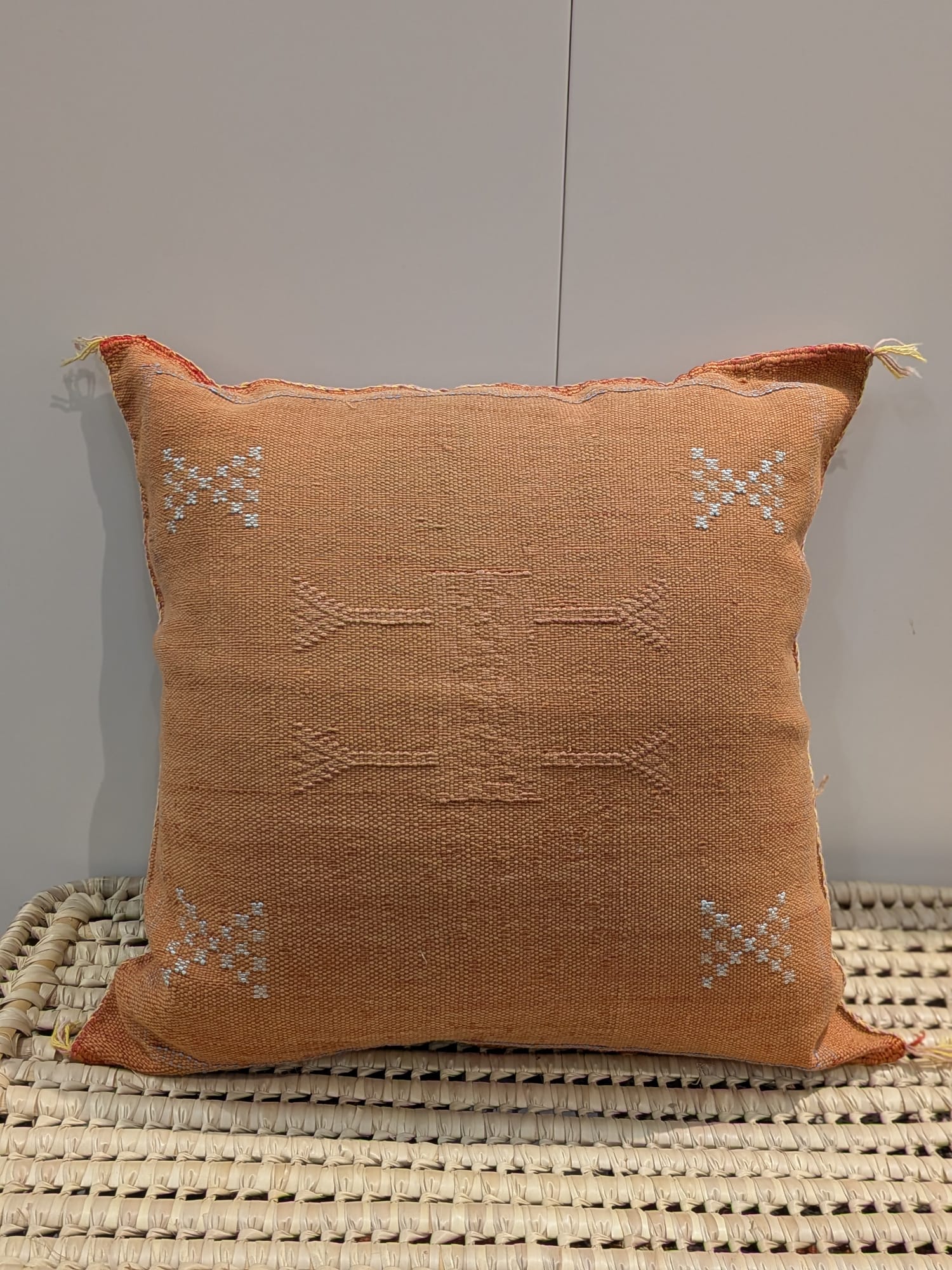 Moroccan Cactus Silk Cushion CUCS082