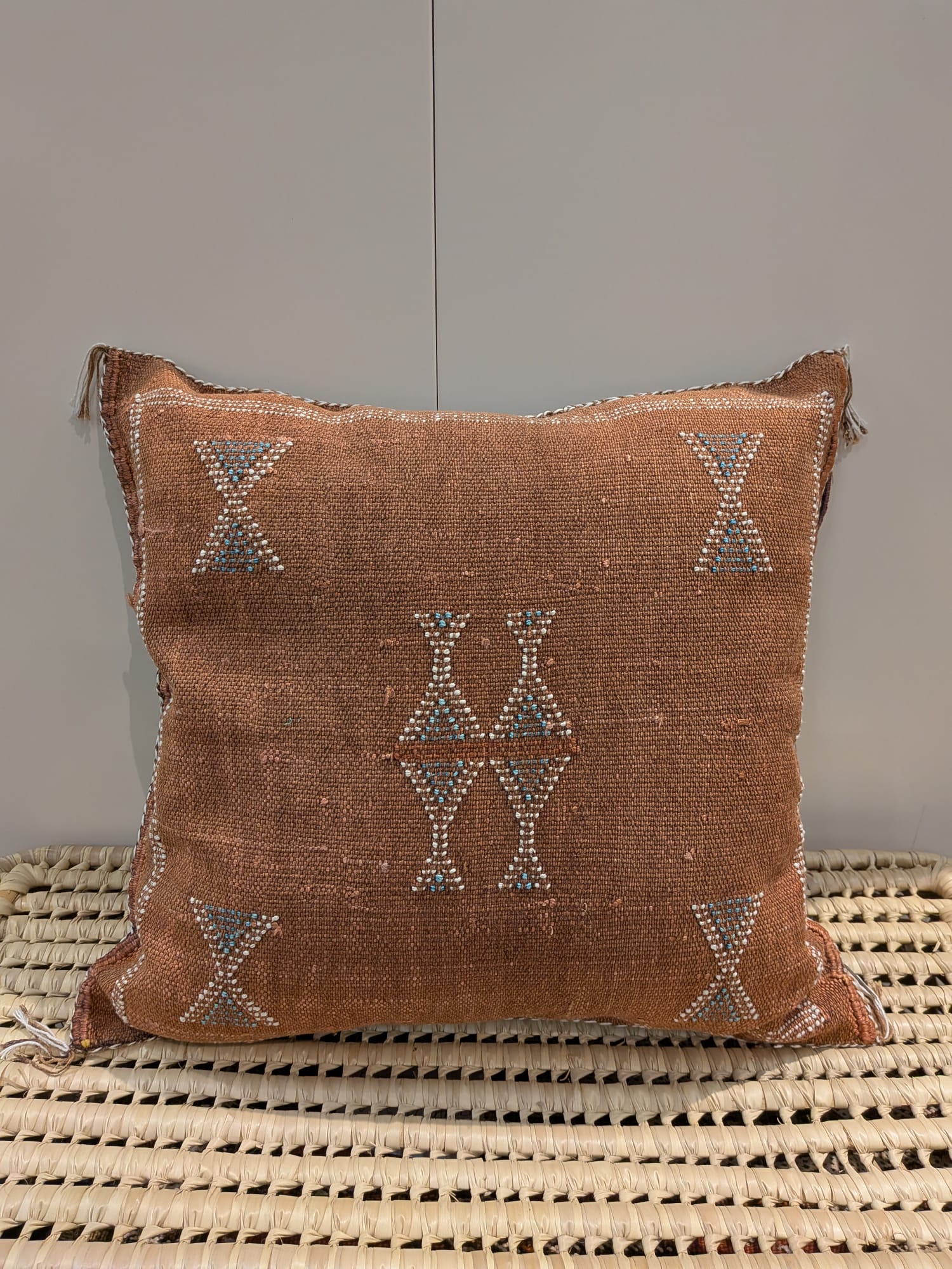Moroccan Cactus Silk Cushion CUCS083