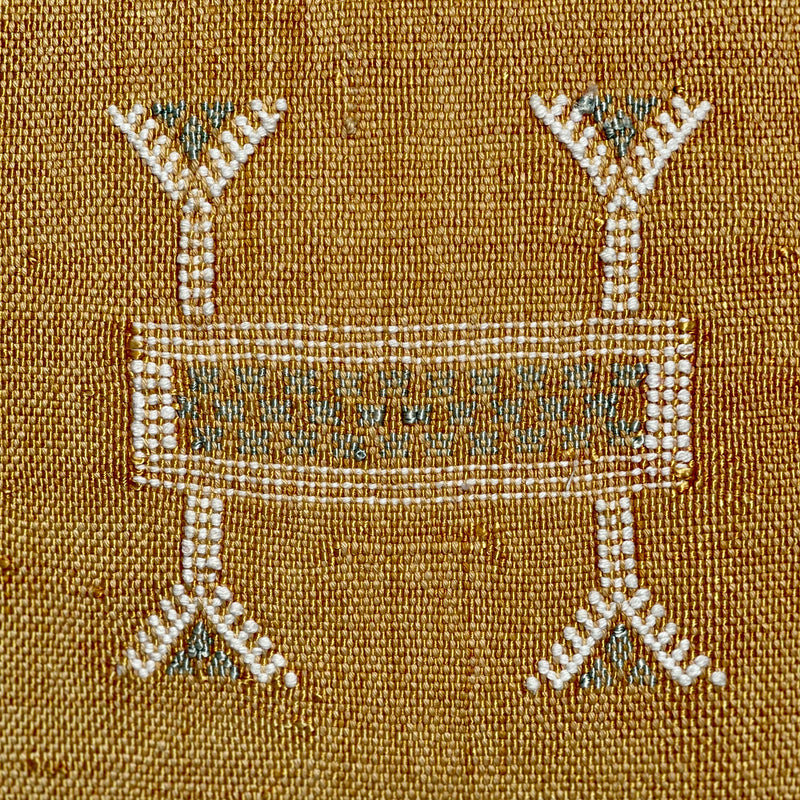 'Draa' Moroccan Cactus Silk Cushion 3